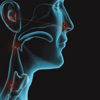 নাক, কান, গলা