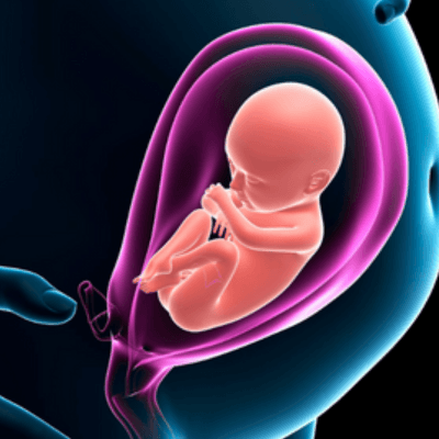 স্ত্রী ও প্রসূতি বিভাগ